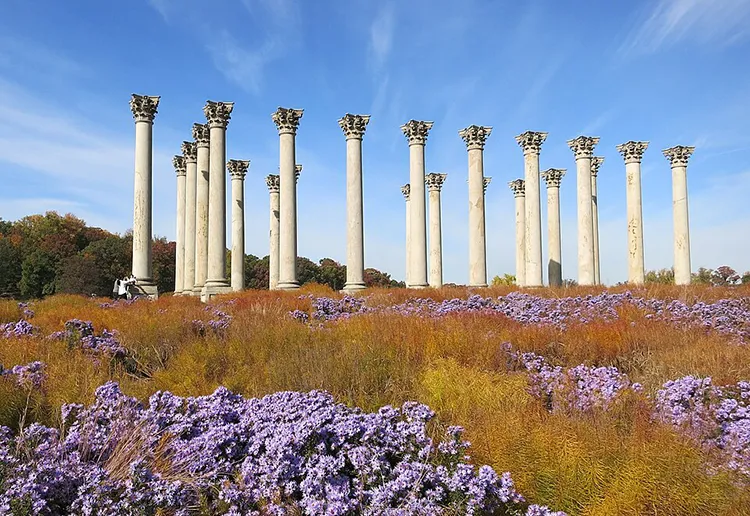 National Arboretum